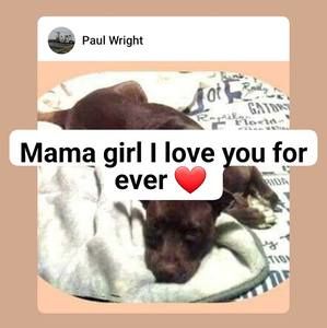 Meet your Posher, Paul